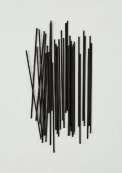 Chikuseiko Bamboo Charcoal Incense | Sandalwood -Novesta Store 6ynab d2 sandalwood