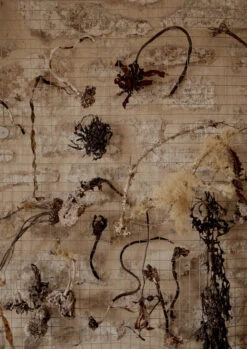 Emily Nixon Urchin Hoop Earrings | Silver 14 Emily Nixon Urchin Hoop Earrings | Silver -Novesta Store Emily Nixon1 3 4edebd69 4258 4386 9521 8fdc7c583a62