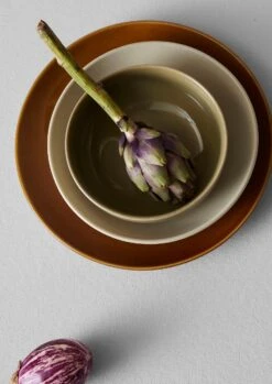 Stoneware Dinner Plate | Pumpkin -Novesta Store HCETW34 07