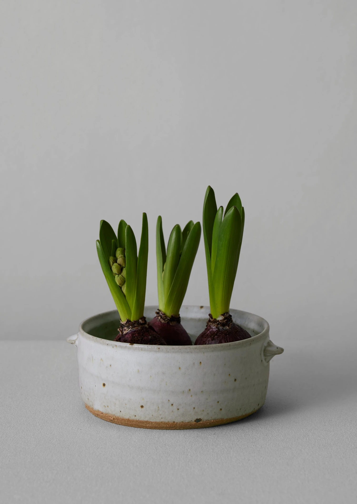 Tim Lake Bulb Pot | Dolomite White 4 Tim Lake Bulb Pot | Dolomite White - Image 2