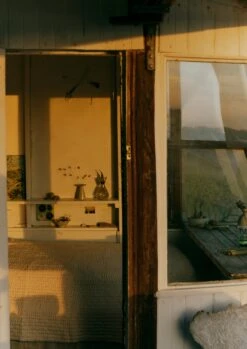 Tim Lake Bulb Pot | Dolomite White 11 Tim Lake Bulb Pot | Dolomite White -Novesta Store HCEUS12 4