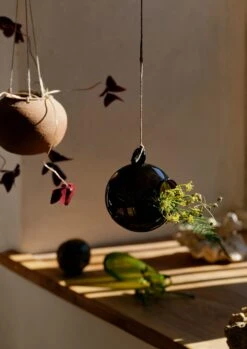 Hanging Boule Glass Vase | Brown -Novesta Store HGLSW09 3 b33b4985 4b42 4019 a4b0 2a0e932cee58