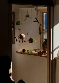 Hanging Boule Glass Vase | Brown -Novesta Store HGLSW09 4