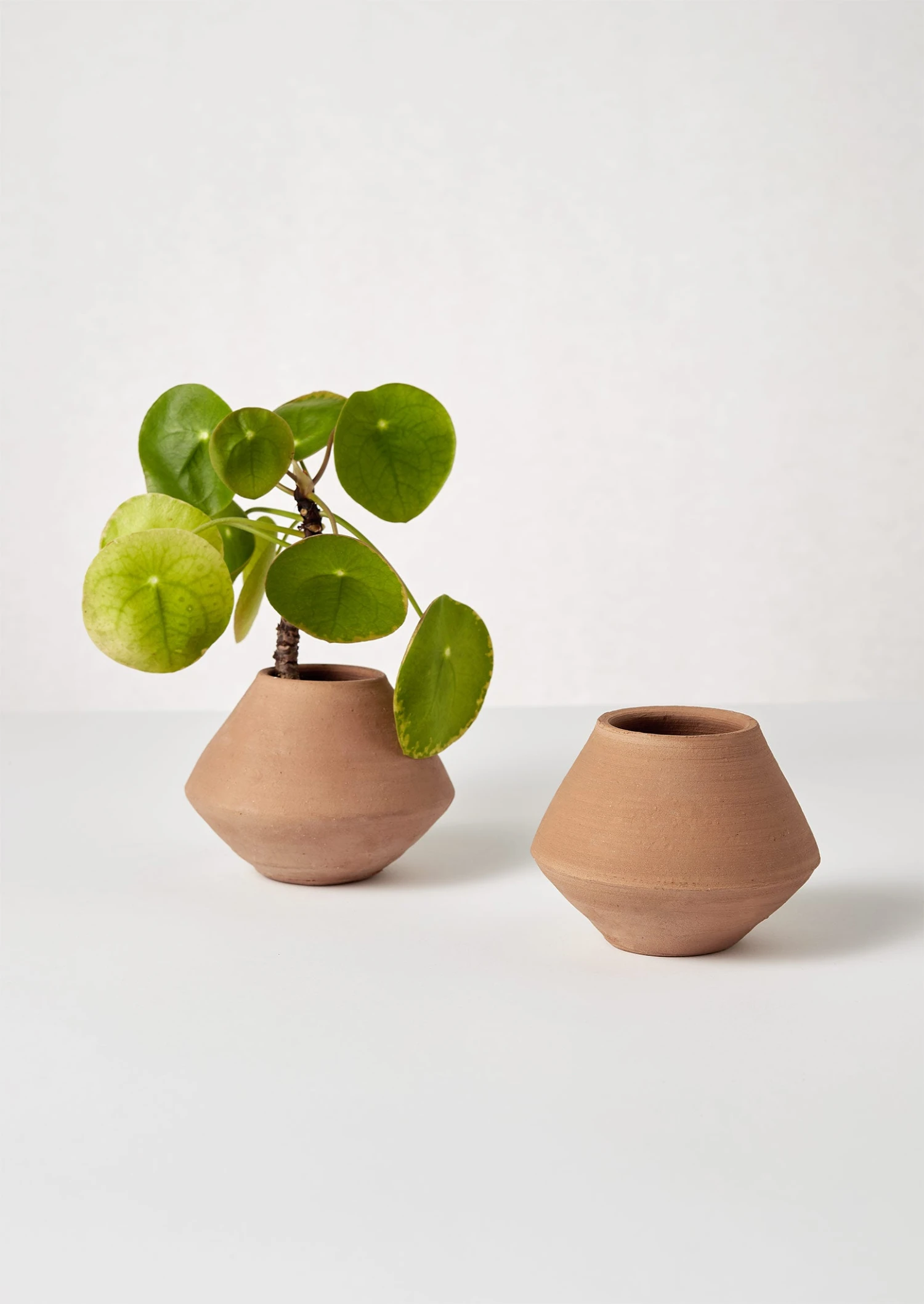 Lopa Terracotta Planter | Terracotta 5 Lopa Terracotta Planter | Terracotta - Image 3