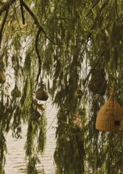 Veta Vera Grass Bird Nester | Natural -Novesta Store HODUS03 2