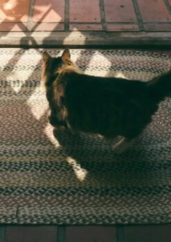 Fiesta Organic Jute Braided Rug | Blossom -Novesta Store HRGUS03 2