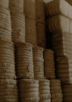 Ashley Organic Cropped Jeans | Indigo -Novesta Store organic indigo denim 0b1d05ff d4c7 4613 83a2 aa297d8f9cc9