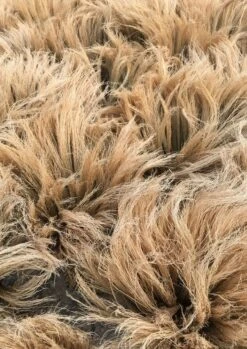 Sorghum Stripe Broom | Toffee -Novesta Store thumbnail sorghum 1